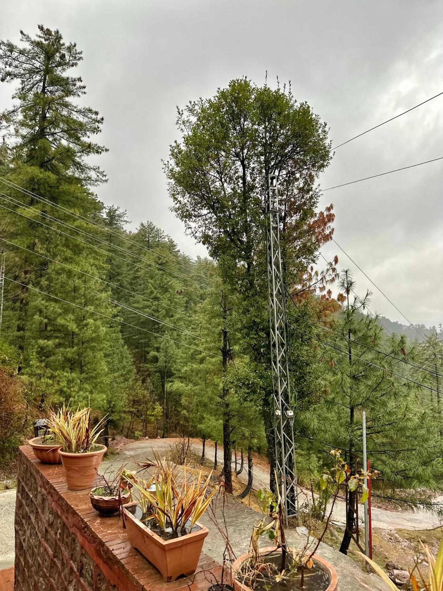 Sarah'S Lodge Murree Εξωτερικό φωτογραφία